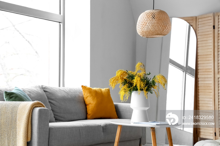 Vase with mimosa flowers on table and sofa in interior of living room