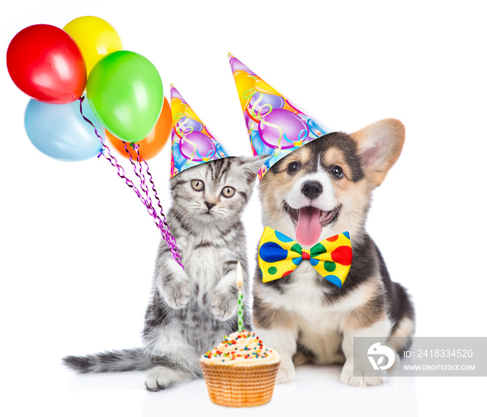 Funny puppy and kitten in party hats holds balloons with little birthday cupcake. isolated on white 