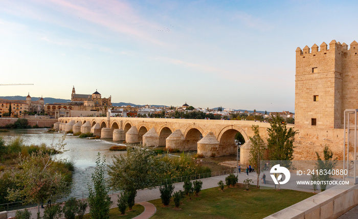 Mezquita de Córdoba desde puente romano