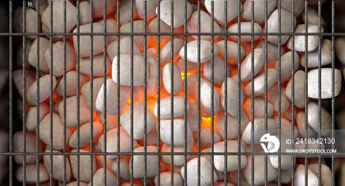 Charcoal Fire And Grid