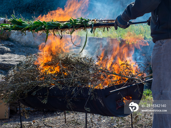 Calçot is a type of green onion and is grilled on high fire and eaten after peeling by dipping one b