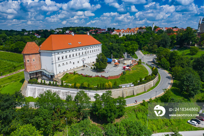 Sandomierz，波兰。前面中世纪哥特式城堡的鸟瞰图，带市政厅塔楼的老城，g