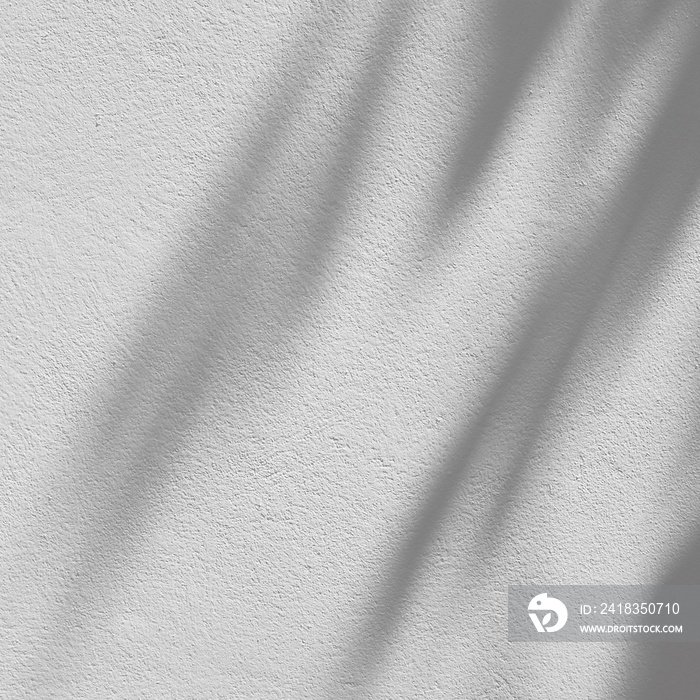白墙背景上棕榈叶的抽象阴影