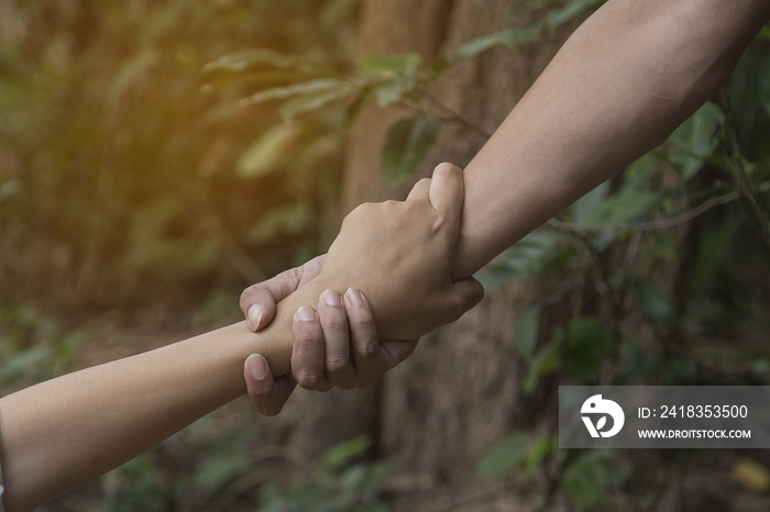 Concept of support - man and woman holding hands in the nature