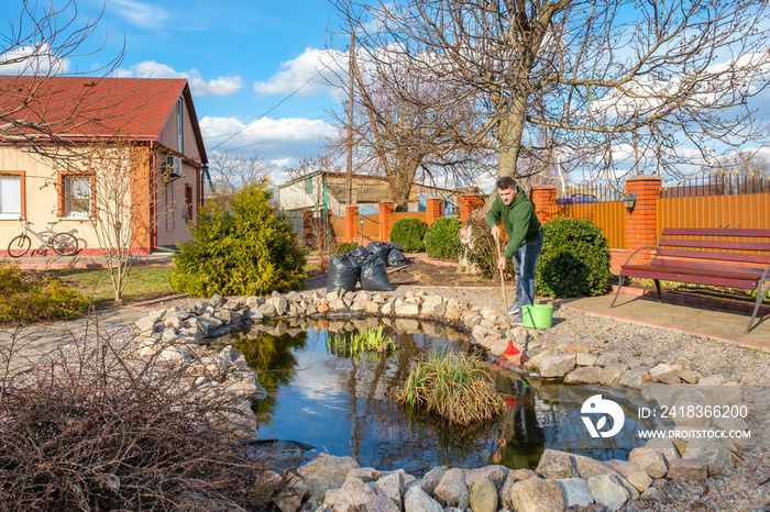 Middle-aged caucasian man cleans a garden pond with leaf rake from water plants and falling leaves n