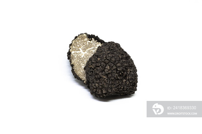 black truffle, tuber aestivum, white background