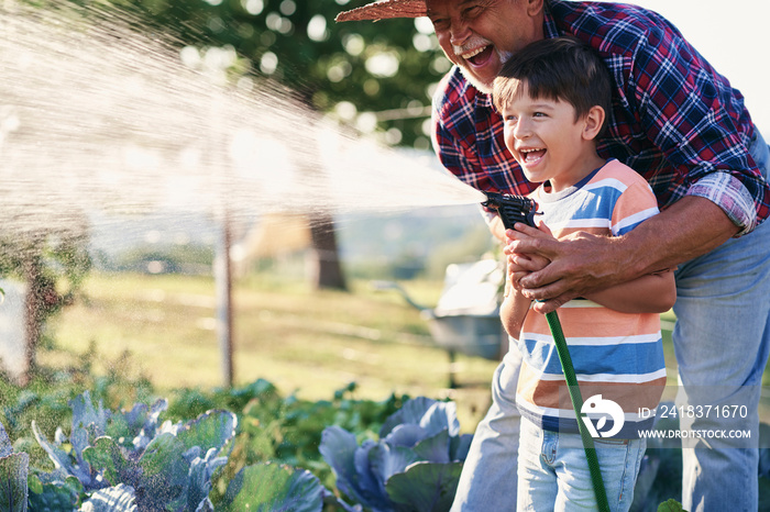 Grandfather and grandson having fun while watering vegetables