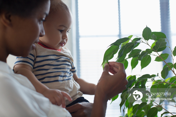 Curious mother and baby son looking at houseplant