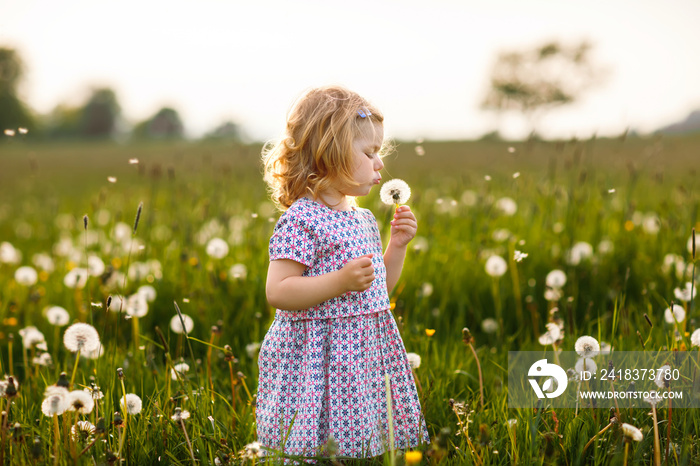 Adorable cute little baby girl blowing on a dandelion flower on the nature in the summer. Happy heal