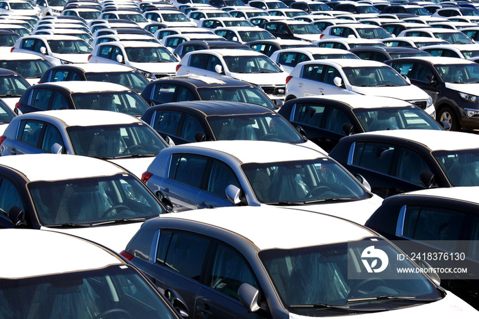 Rows of new cars covered in protective white sheet