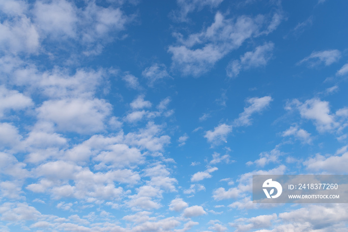 綺麗な青空