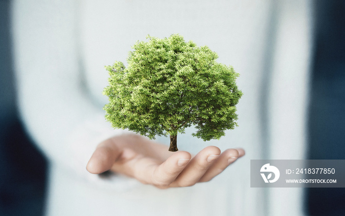 Tree in hand