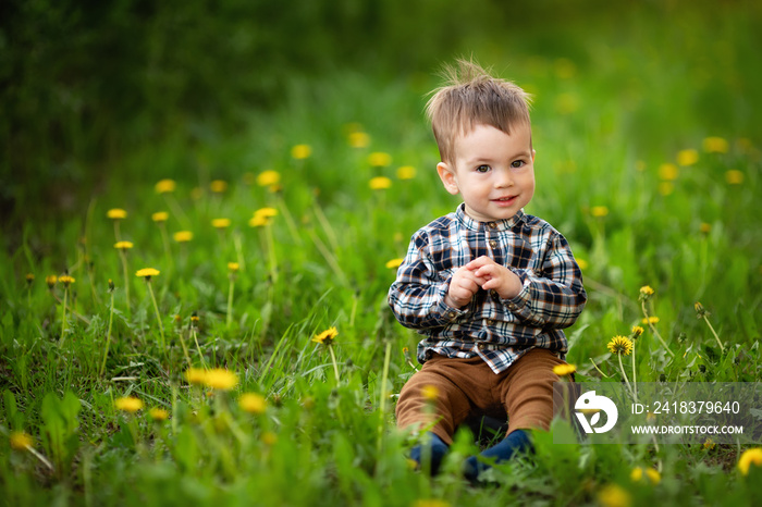 little boy sitting in the flowering meadow