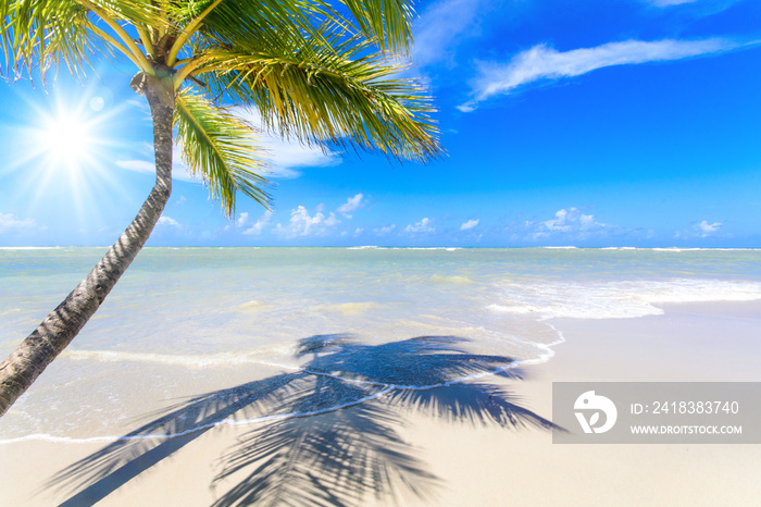 Cayo Levantado: Antillen, Karibik, Ferien, Tourismus, Sommer, Sonne, Strand, Auszeit, Meer, Glück, E