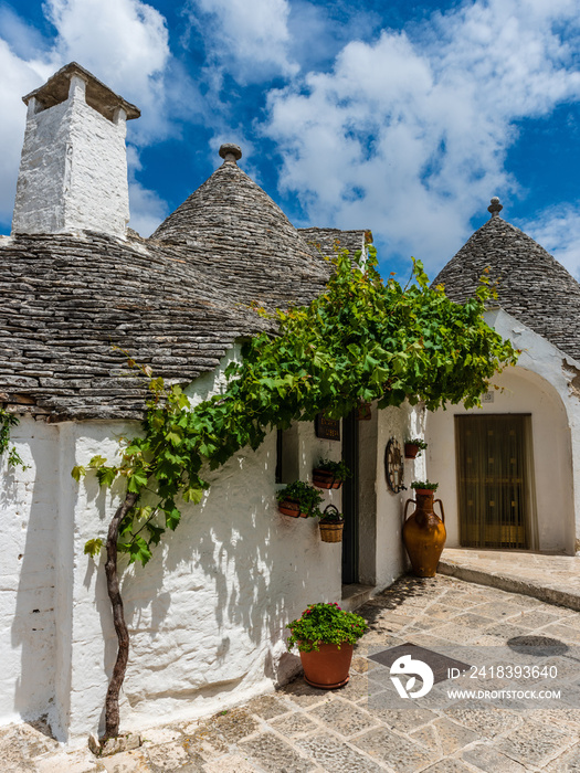 Alberobello the town of trulli - UNESCO