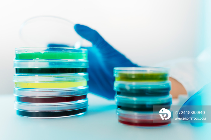 Cropped image of a Woman Working With Petri Dishes In The Lab. looking for coronavirus vaccine. Micr