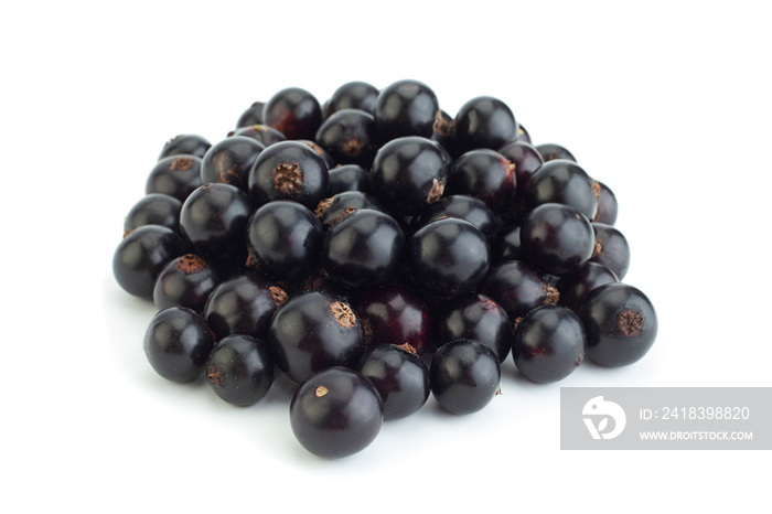 Black currant berries closeup