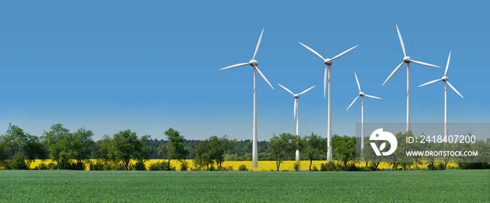 Windkrafträder in einem Rapsfeld hinter einer Allee