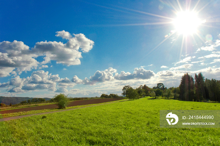 Sommerlandschaft