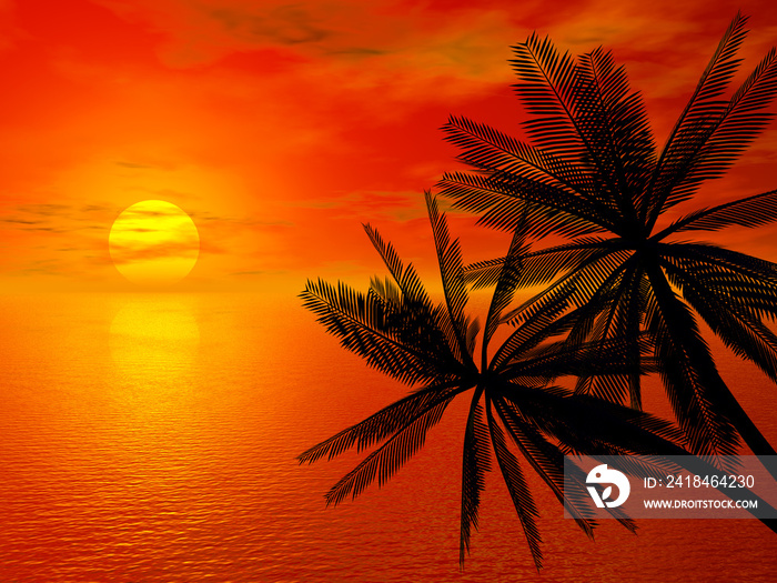 红色夕阳和棕榈