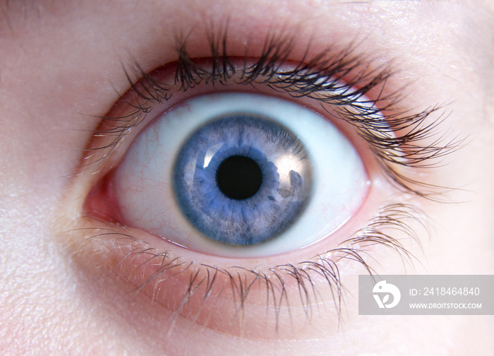 Nahaufnahme Auge mit blauer Iris