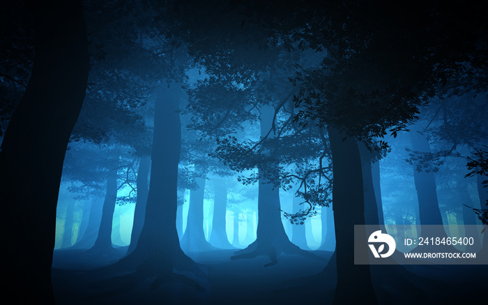 dark blue forest