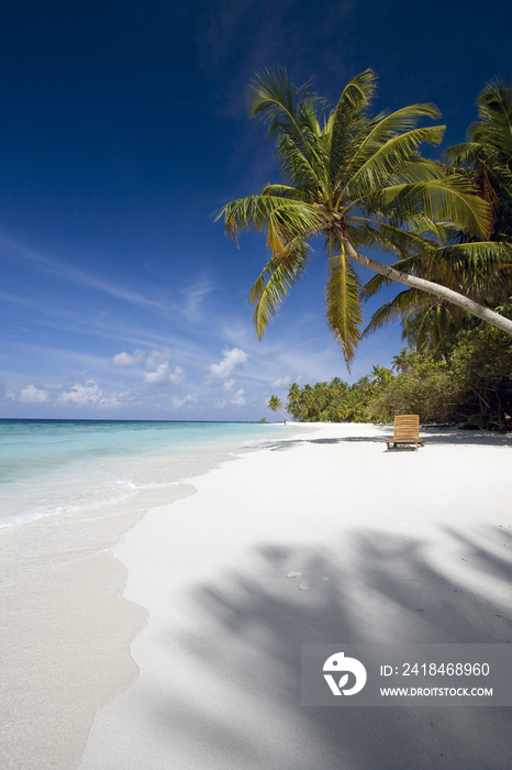 马尔代夫，棕榈树下的沙滩椅