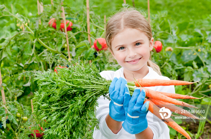 Little gardener in vegetables garden