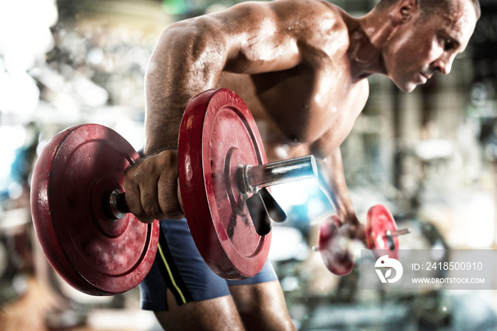 Athletic man training biceps at the gym