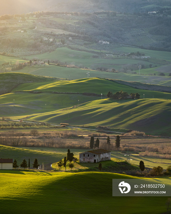 verdi colline