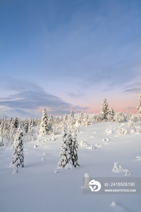 Midwinter in Pallastunturi, a group of seven fells in Pallas-Yllästunturi National Park of Finnish L