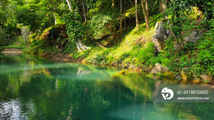 Beautiful emerald green natural lake in Thailand tropical rainforest lush colour of water