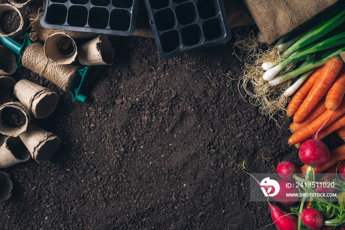 Organic homegrown produce and gardening equipment with copy space