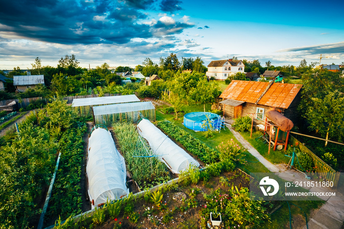 Raised Beds In Vegetable Garden