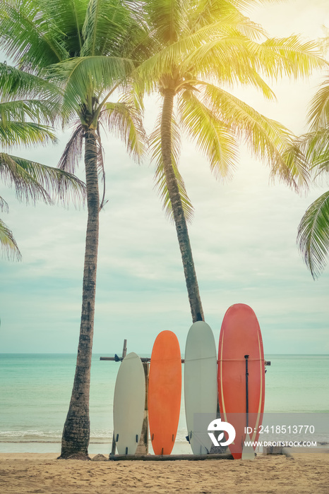 Surfboard and palm tree on beach background.