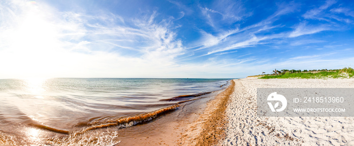 Weststrand beach in Mecklenburg Vorpommern (Germany) on the Baltic sea