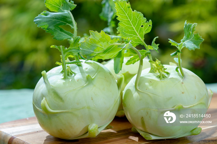 Fresh ripe bio white cabbage kohlrabi from organic farm, close up