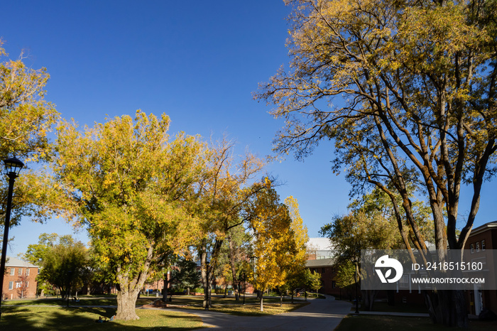 Beautiful fall color around the campus of Northern Arizona University