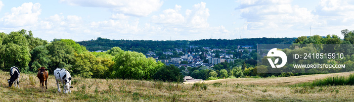 Panorama view Valkenburg The Netherlands