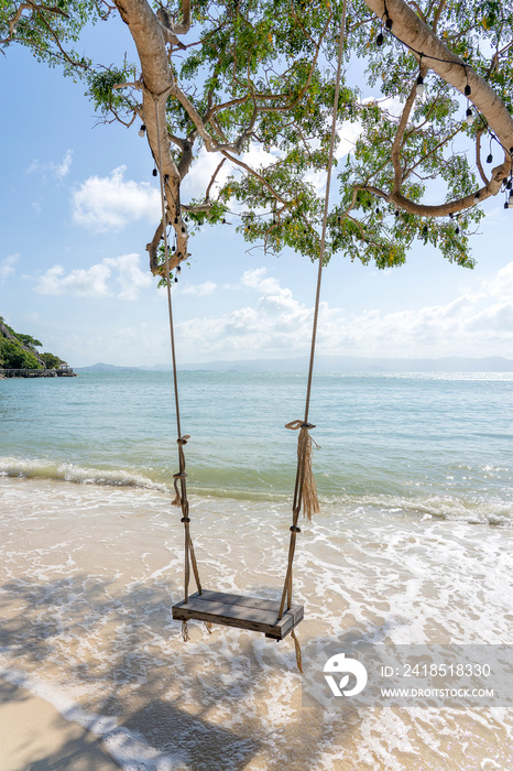 泰国Koh Phangan岛夏季海滩海面上的热带树上悬挂的秋千。夏天，旅行