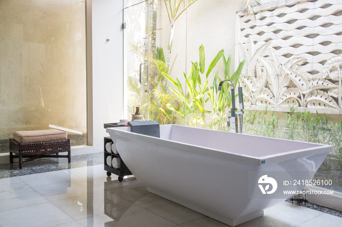 Modern bathroom interior with luxury classic bathtub