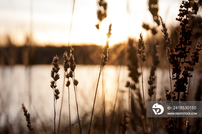 Beautiful autumn landscape of Kymijoki river waters at sunset. Finland, Kymenlaakso, Kouvola.