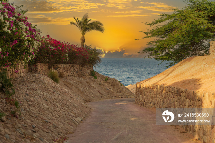 Empty road with colorful flowers on the street of Egypt in Sharm El Sheikh