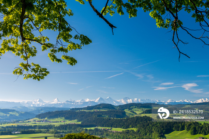 Aussicht vom Emmental Richtung Berner Alpen