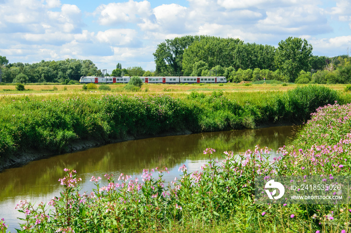 Green landscape view with riding train