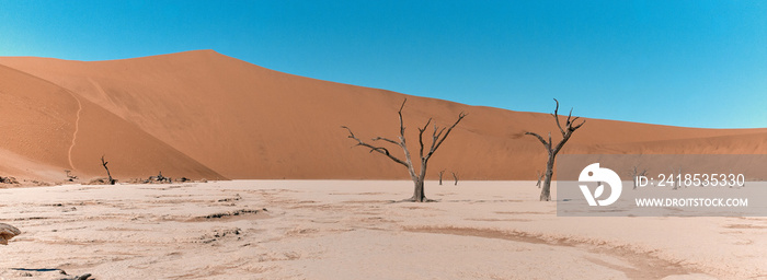 Amazing landscape in Namibia, Africa