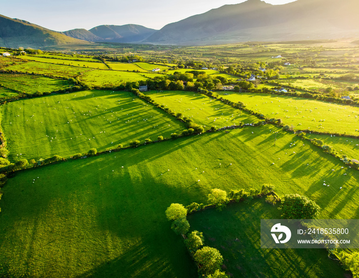 爱尔兰一望无际的郁郁葱葱的牧场和农田的鸟瞰图。爱尔兰美丽的田园风光