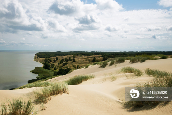 Curonian Spit sand dunes background. Travel around the Lithuania landscape. Cliff over the baltic se