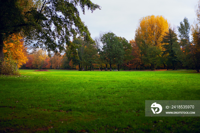 Meadow of green lawn in the autumn park 