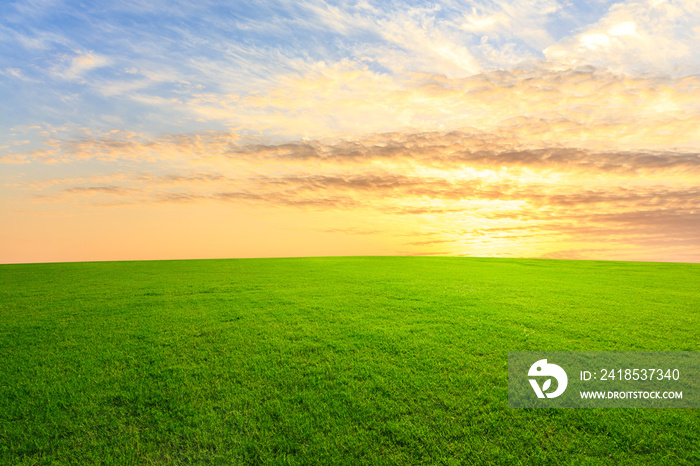 Green grass and beautiful sky at sunset